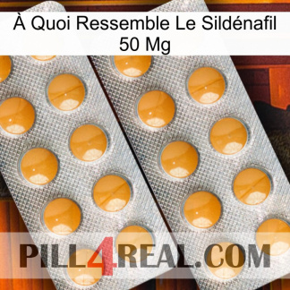 À Quoi Ressemble Le Sildénafil 50 Mg levitra2